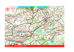 Kauppi_taitoharjoitus_livelox