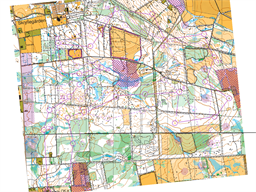 Tomte_2025_till_Livelox_långa