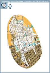 Nyårsnatten karta 7500