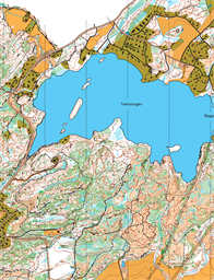 Lipered-Rödjan-Skogsbo 251012_ocad11