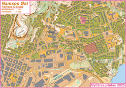 Nyttårssprint 25