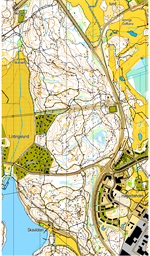 2026-01-03 Skavloten N bakgrund