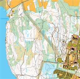 Agnhammarskogen 260105