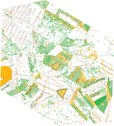 251003_Les_Vacenovice_10000_ocad12 bez cest TZL tisk