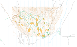Seeley Nordic 01-08-2026