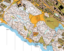 Vinternattcup #4 2026-01-21 Bakgrund 1 Blank karta