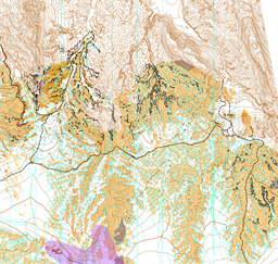 DOF26-Classic-Livelox-Map