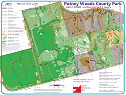 PutneyWood_ver5_2026_Jan_final