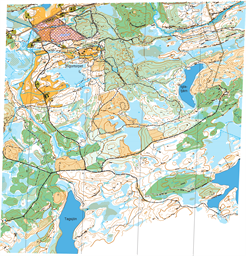 Rigortorpet karta livelox