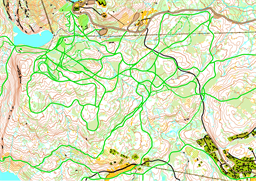 fjellsetermyra