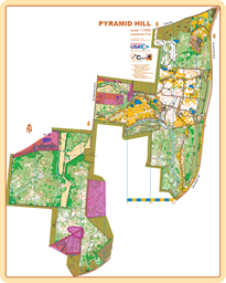 Pyramid Hill_Fort_2026_02_04_7500