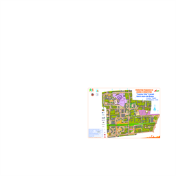 Extrait Saint Jean de Braye