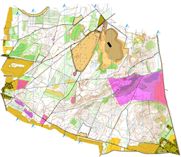 10.Märkischer-Kiefern-OL