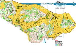 Wildberg-Eppenberg 2026 10k