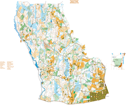 Uljeshul Pukarp 2025 08 04