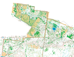 SanFelasco_Master_10000