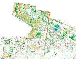 SanFelasco_Master_10000