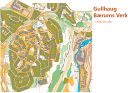 120326_gateo_Gullaug_BG1