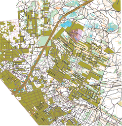 Warszawa 2025 Falenica WŁAŚCIWA — OCAD10