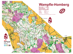 Wampfle-Homberg 10000 Aug 2022 Livelox_Ausschnitt