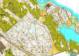 Svartviksskogen 2025-11-18