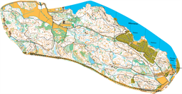 Tveta_NattDM_2026_Livelox