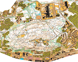 Kartutsnitt Norra o Skönsberg