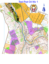 Carte test Ori Niv 1