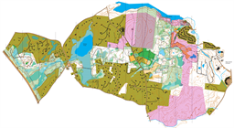 NagogHill-GrassyPond_Bulette_Anderson_CloneCopy