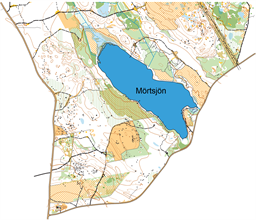 utsnitt livelox