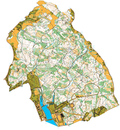 Břízky_22.8.2023_ocd10