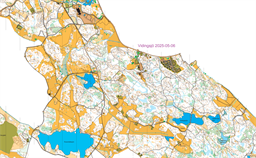 Linköping250506-OCAD 2018