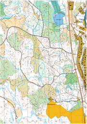 utsnitt
