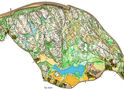Martineåsen