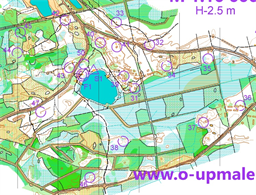 Upmale2026_2k.All