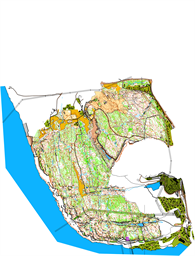 18Orvik-kjorholt_3_2024-11-21 (1)
