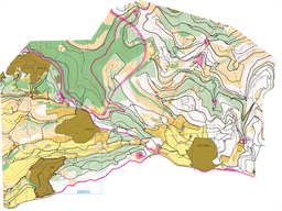 [2026]JERUSALEM_HILLS