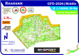 Колпаки GFD-26 - 75