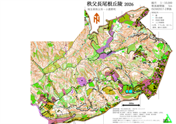 秩父長尾根2026_10000