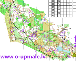 Upmale2026_5k.All