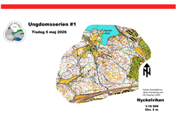 Utsnitt Ungdomsserien 10000