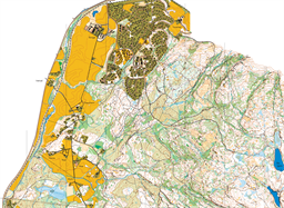 Breisås