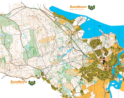 Sundborn_Årberget260504