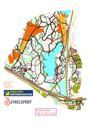 5000del sprint