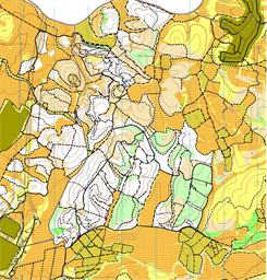 [2026][MTBO]Haruvit