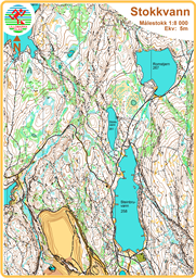 Stokkvann