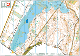 Dzirnezers