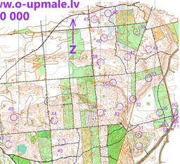 Upmale2026_6k.All