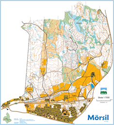 Mörsil_20240524