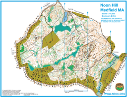 Noon Hill 2015